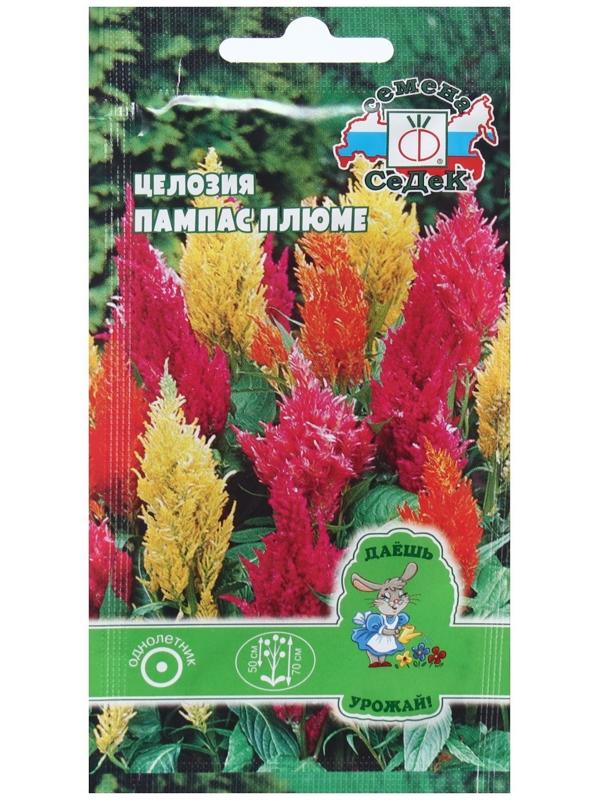 Семена Цветок Целозия 