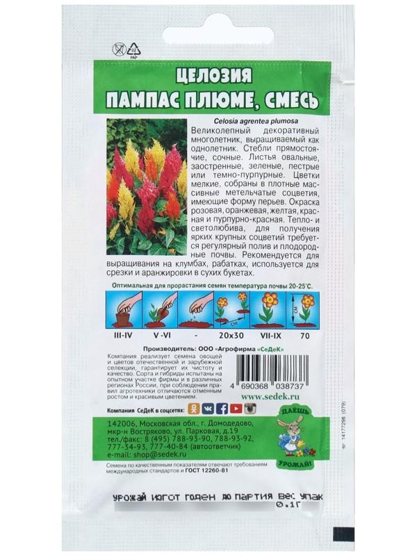 Семена Цветок Целозия 
