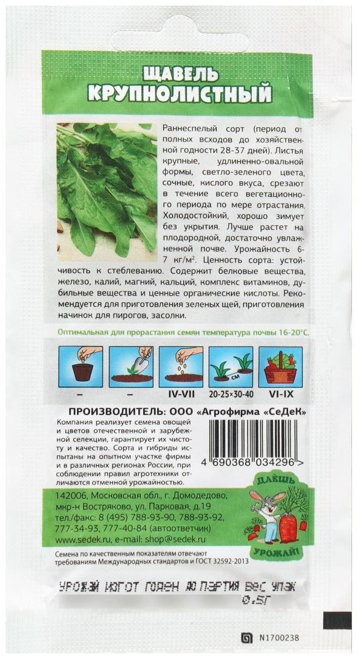 Семена щавель  