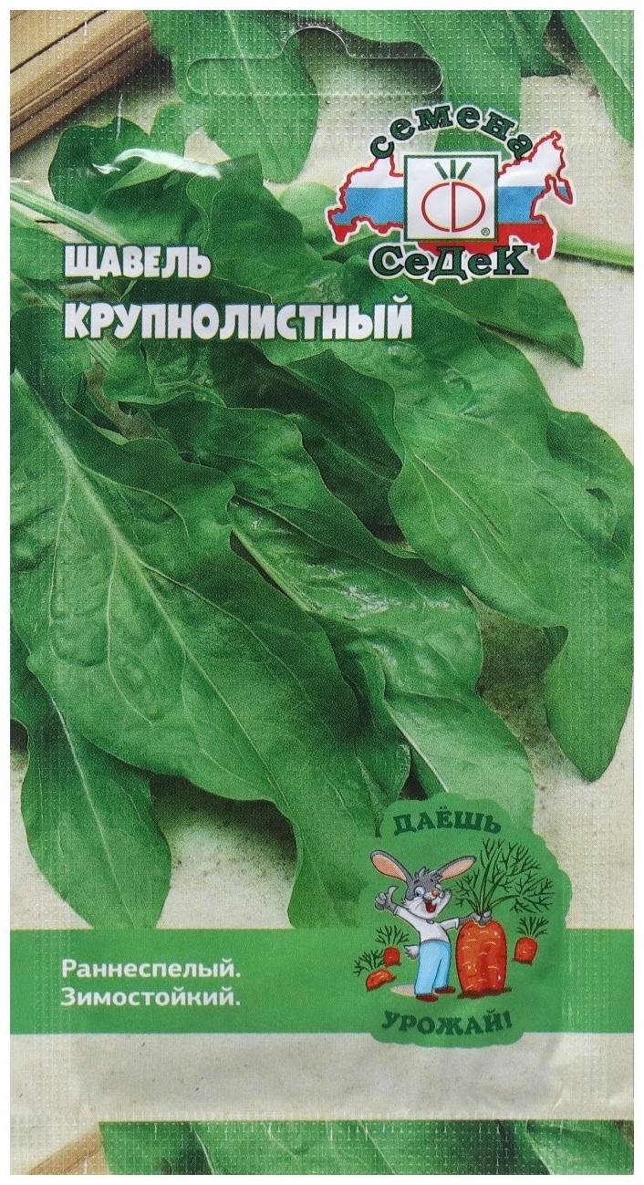 Семена щавель  