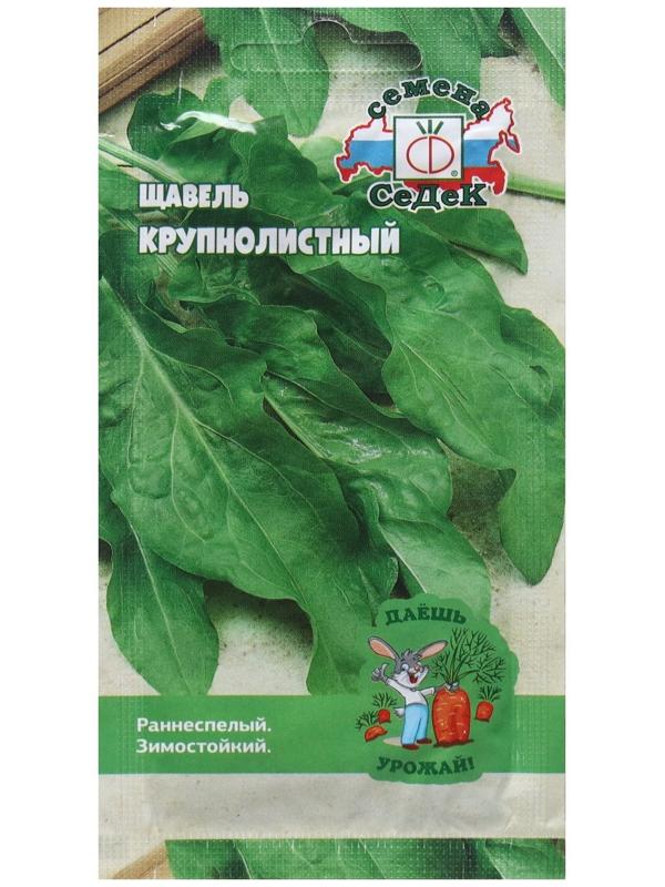 Семена щавель  