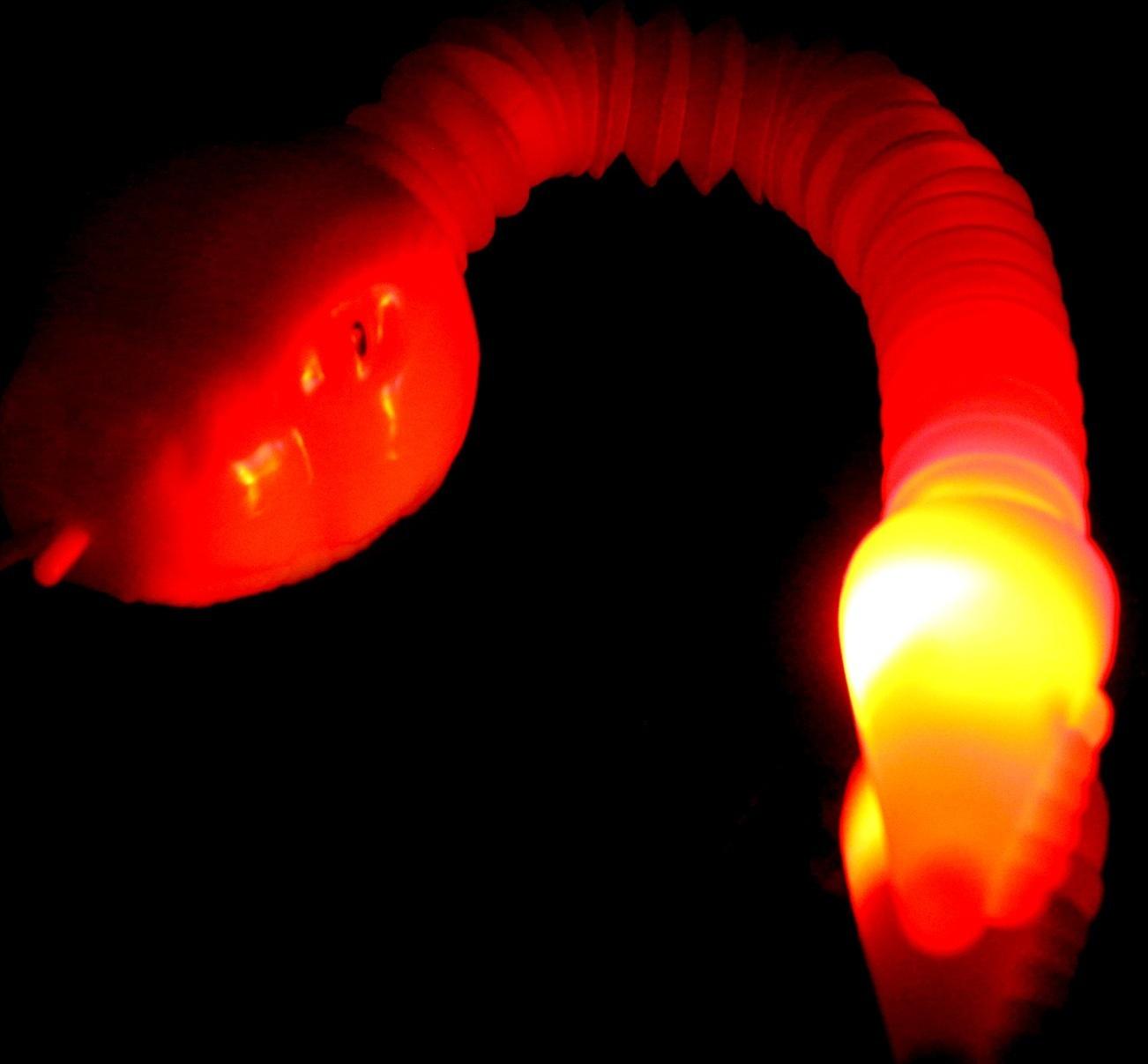 Развивающая игрушка «Змея» световая, цвета МИКС