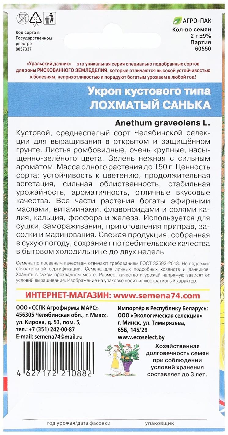 Семена Укроп 