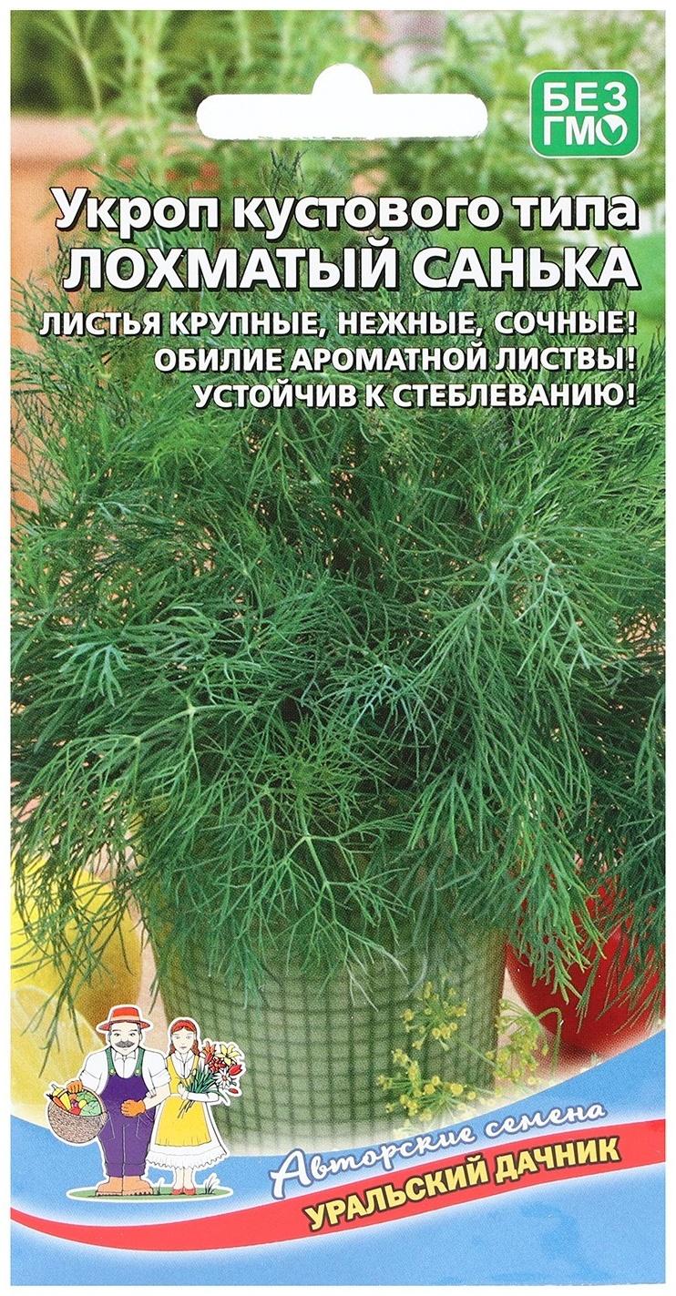 Семена Укроп 