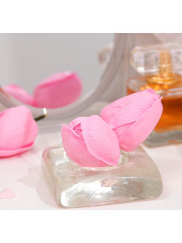 Мыльный тюльпан, розовый