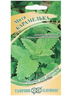 Семена Мята 