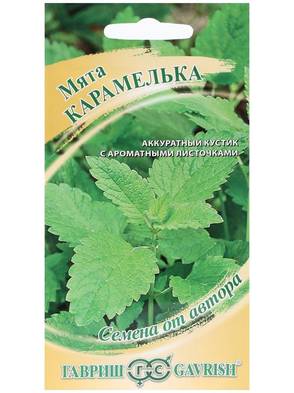 Семена Мята 