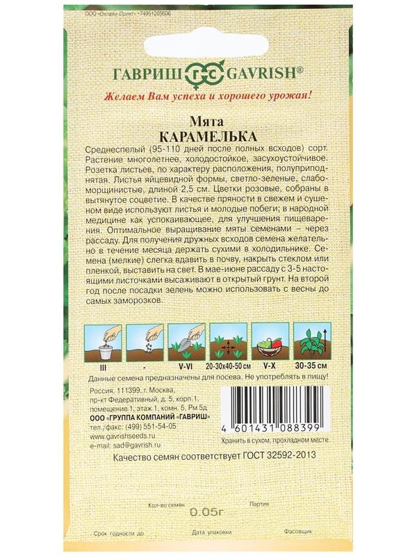 Семена Мята 