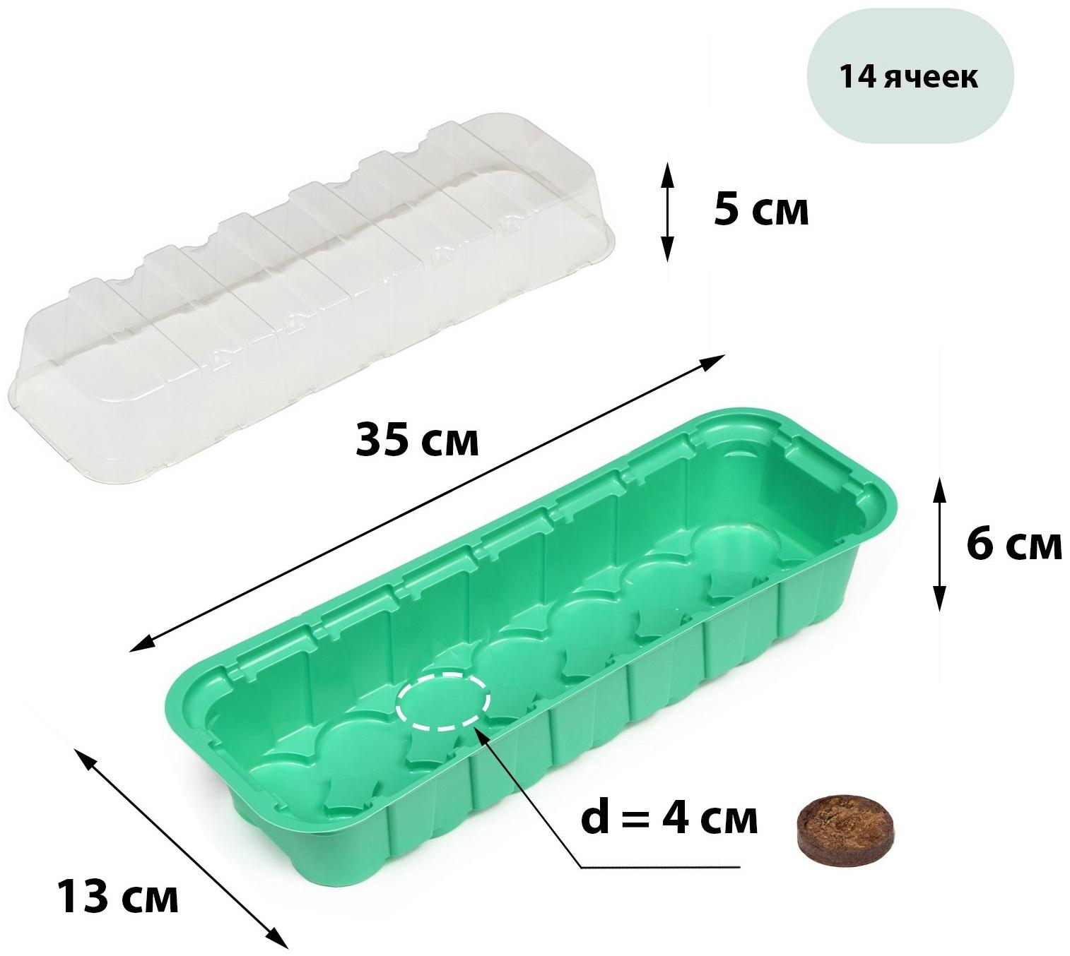 Мини-парник для рассады, 35 × 13 × 11 см, вставки (14 шт.) под таблетки для рассады d = 4 см