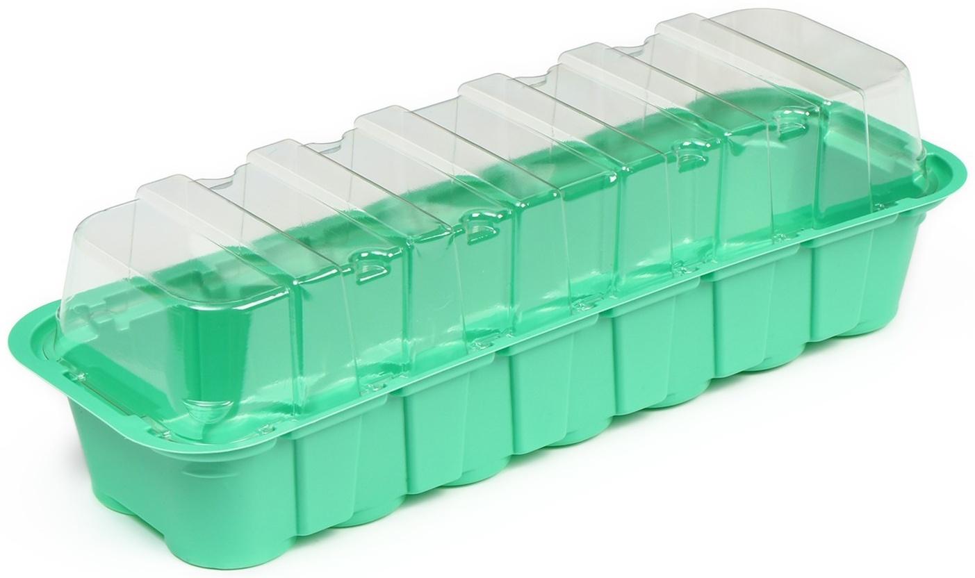 Мини-парник для рассады, 35 × 13 × 11 см, вставки (14 шт.) под таблетки для рассады d = 4 см