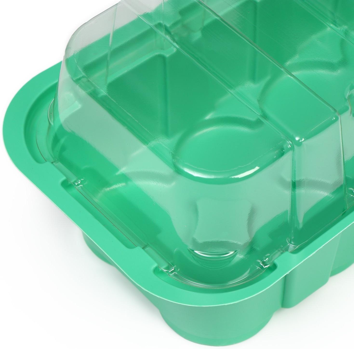 Мини-парник для рассады, 35 × 13 × 11 см, вставки (14 шт.) под таблетки для рассады d = 4 см