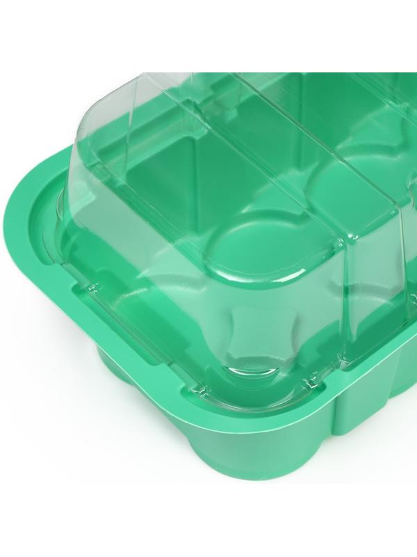 Мини-парник для рассады, 35 × 13 × 11 см, вставки (14 шт.) под таблетки для рассады d = 4 см