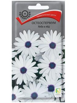 Семена цветов Остеоспермум 