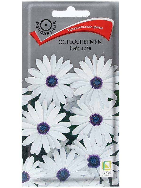 Семена цветов Остеоспермум 