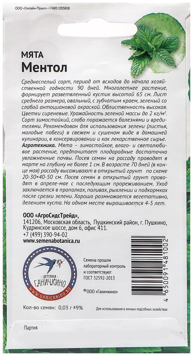 Семена Мята 