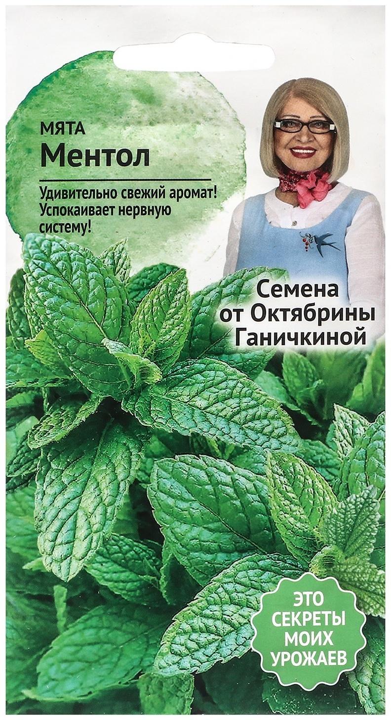 Семена Мята 