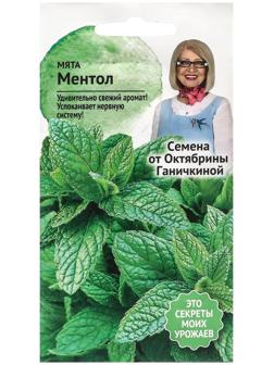Семена Мята 