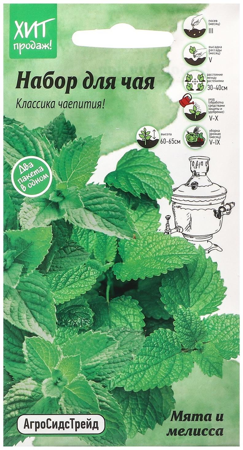 Семена Мята и мелисса 
