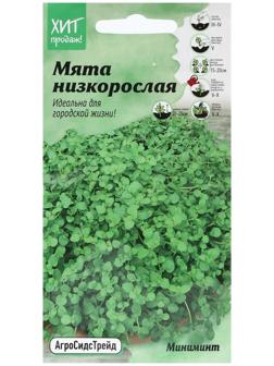 Семена Мята 