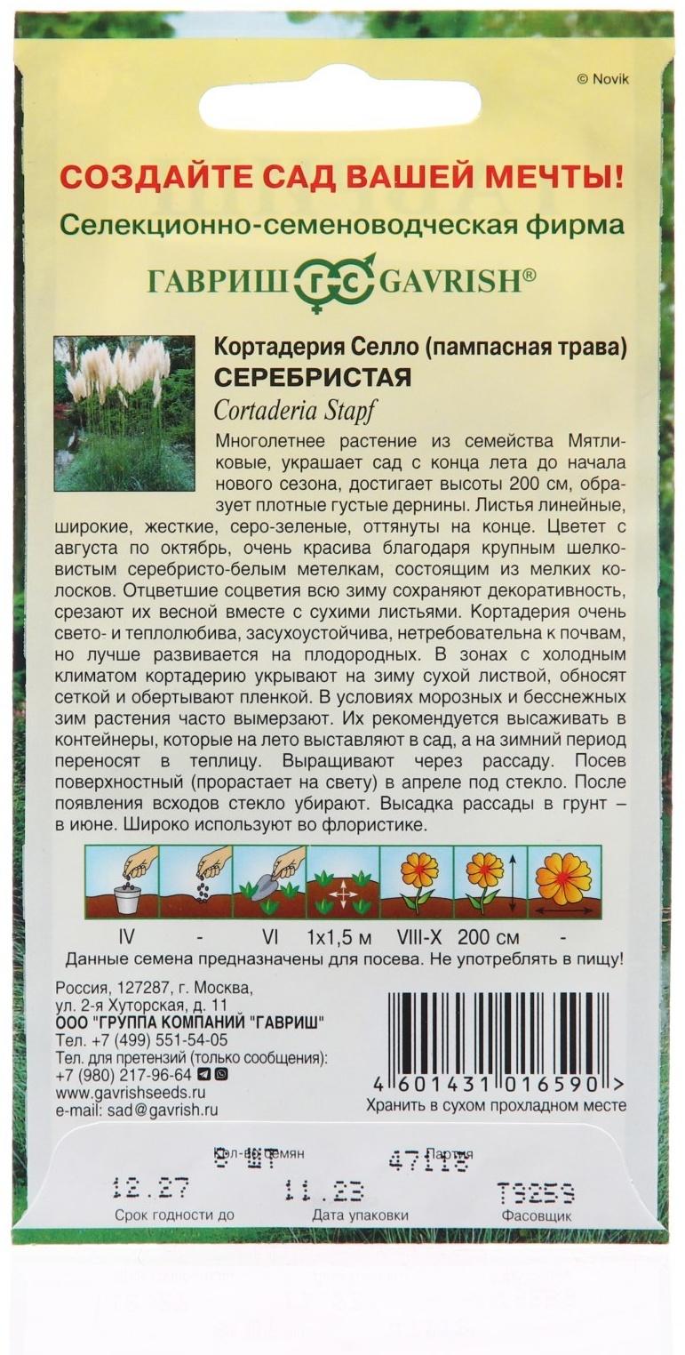 Семена Кортадерия Серебристая 