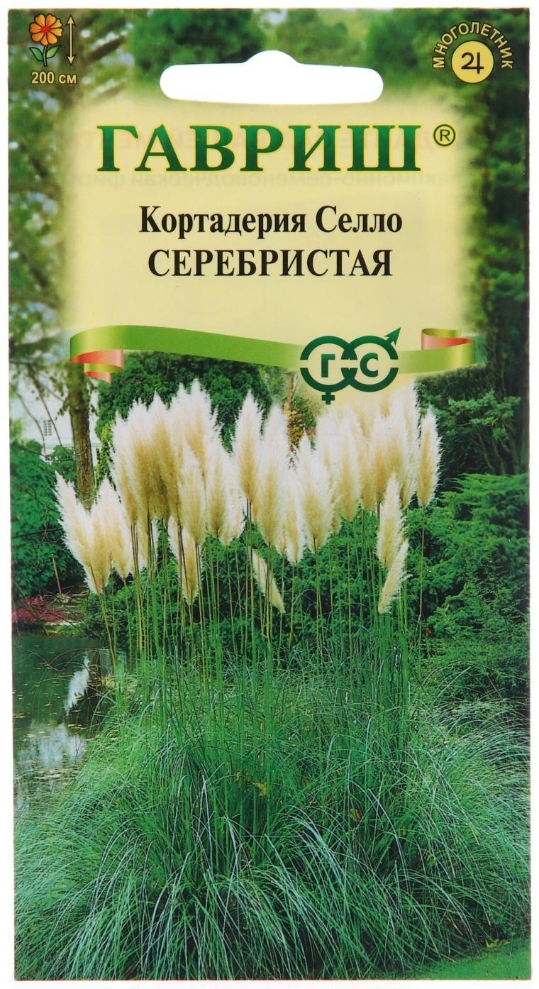 Семена Кортадерия Серебристая 