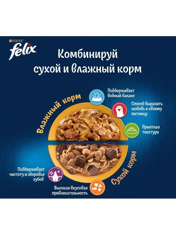 Влажный корм Felix Аппетитные кусочки для кошек, ягненок и курица в желе, пауч 75 г