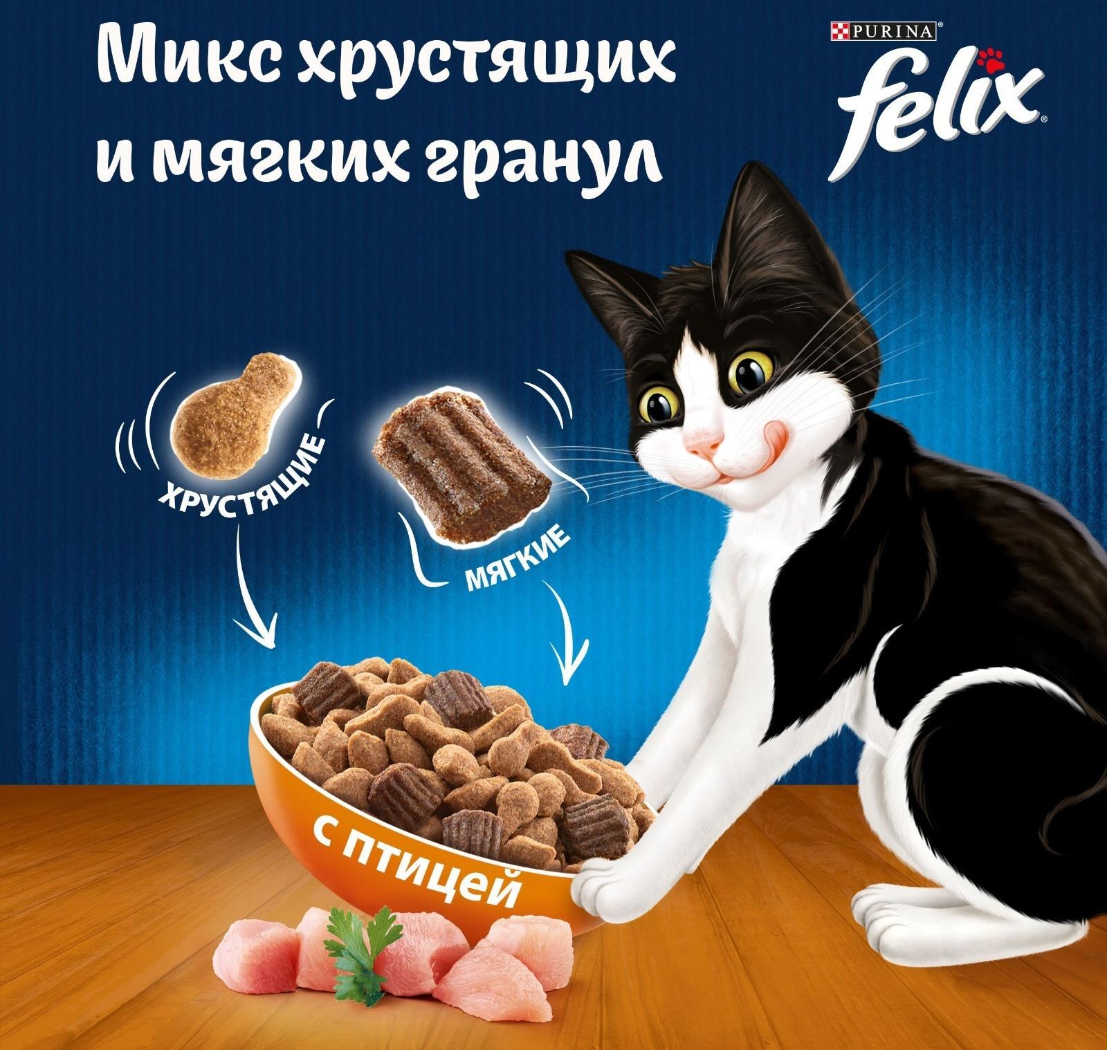 Сухой корм Felix 