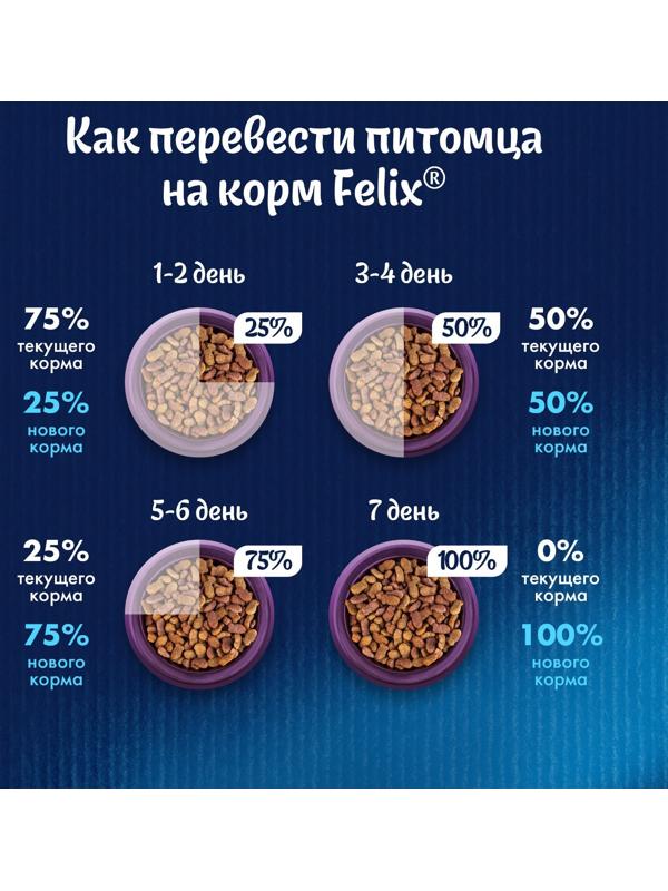 Сухой корм Felix 