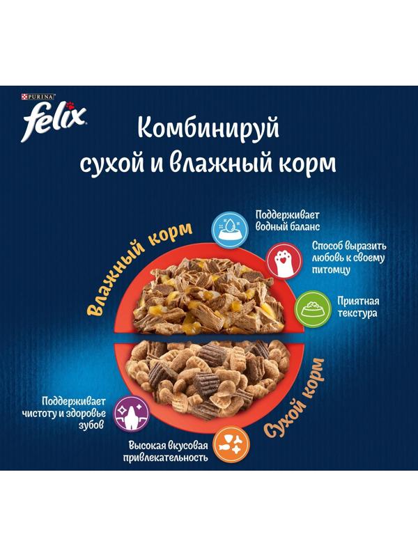 Влажный корм Felix Аппетитные кусочки для кошек, кролик в желе 75 г
