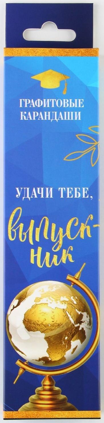 Карандаш чёрнографитный HB «Удачи тебе, выпускник!» , диаметр грифеля 2мм, 12 штук.