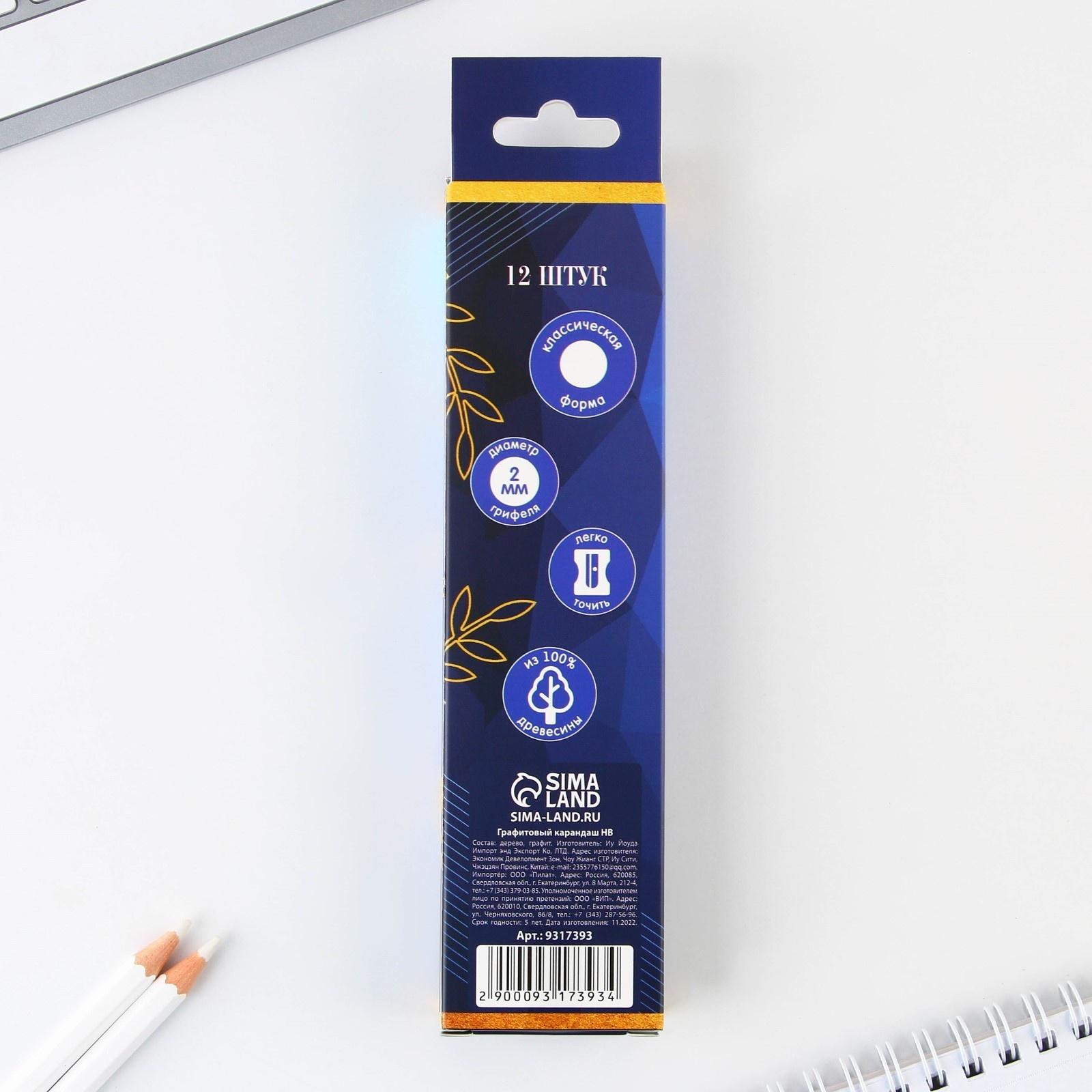 Карандаш чёрнографитный HB «Удачи тебе, выпускник!» , диаметр грифеля 2мм, 12 штук.