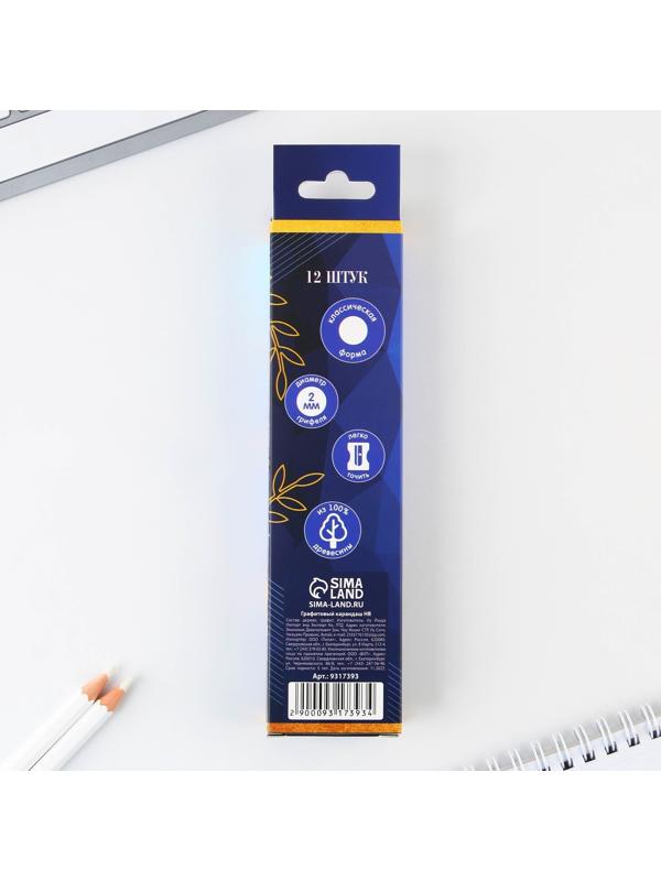 Карандаш чёрнографитный HB «Удачи тебе, выпускник!» , диаметр грифеля 2мм, 12 штук.