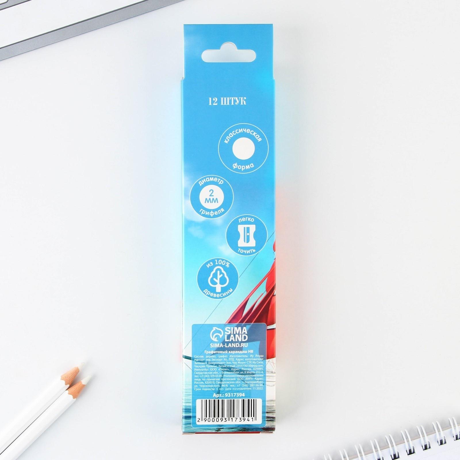 Карандаш чёрнографитный HB «Удачи тебе, выпускник!», диаметр грифеля 2мм, 12 штук.