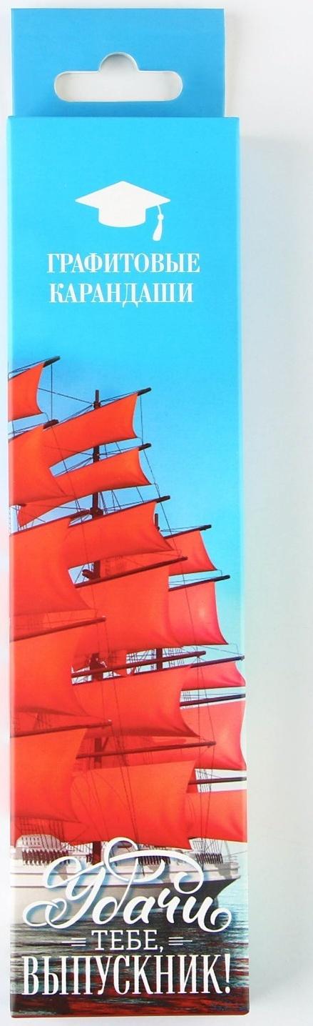 Карандаш чёрнографитный HB «Удачи тебе, выпускник!», диаметр грифеля 2мм, 12 штук.