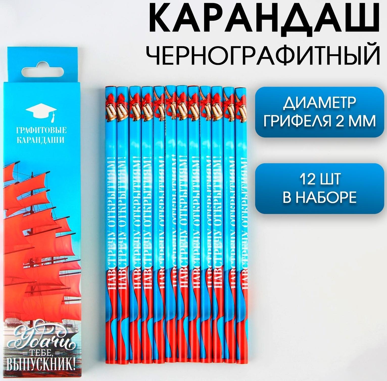 Карандаш чёрнографитный HB «Удачи тебе, выпускник!», диаметр грифеля 2мм, 12 штук.