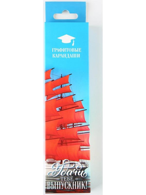 Карандаш чёрнографитный HB «Удачи тебе, выпускник!», диаметр грифеля 2мм, 12 штук.