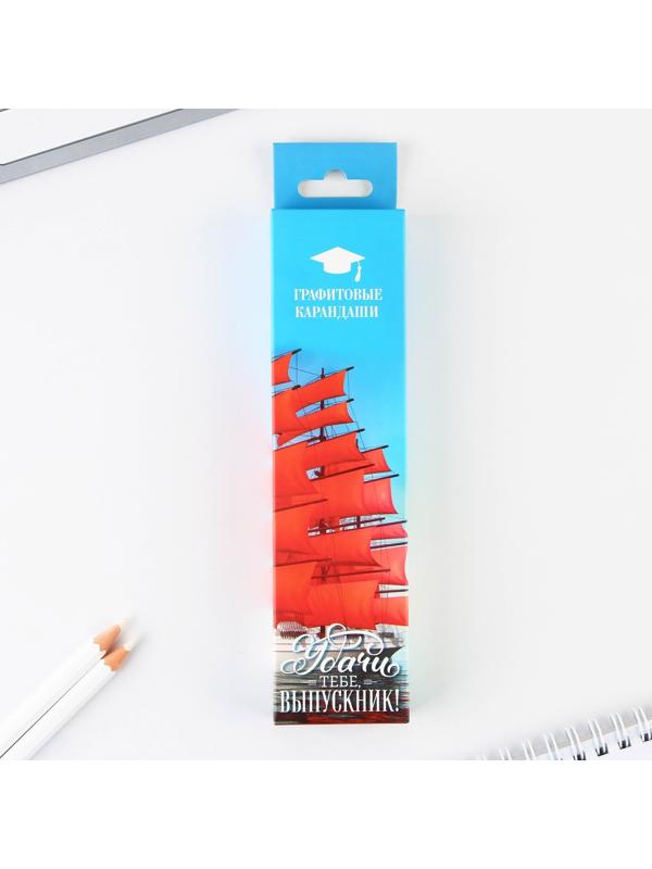 Карандаш чёрнографитный HB «Удачи тебе, выпускник!», диаметр грифеля 2мм, 12 штук.