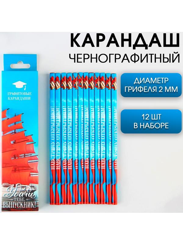 Карандаш чёрнографитный HB «Удачи тебе, выпускник!», диаметр грифеля 2мм, 12 штук.
