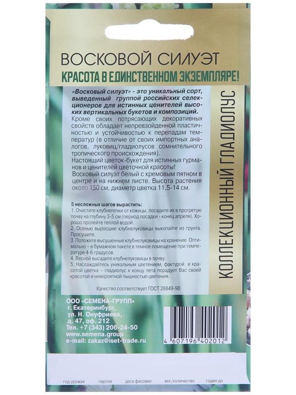 Клубнепочка гладиолуса Восковой силуэт (белый), 5 шт.