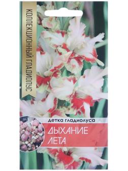 Клубнепочка гладиолуса Дыхание лета (белый с красным пятном), 5 шт.