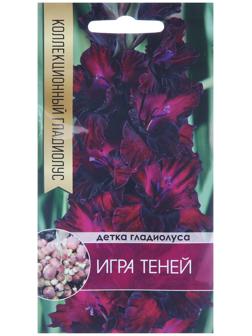 Клубнепочка гладиолуса Игра теней (темный), 5 шт.