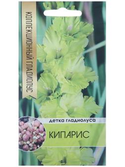 Клубнепочка гладиолуса Кипарис (желтый), 5 шт.