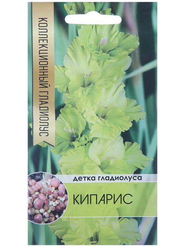Клубнепочка гладиолуса Кипарис (желтый), 5 шт.