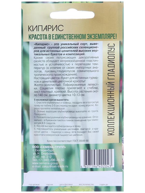 Клубнепочка гладиолуса Кипарис (желтый), 5 шт.