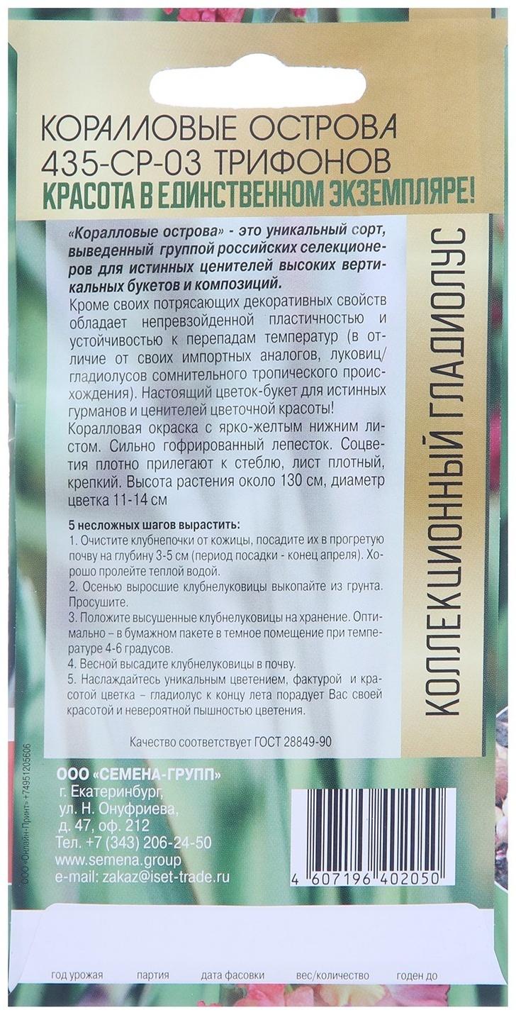 Клубнепочка гладиолуса Коралловые острова (трехцветный), 5 шт.