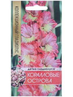 Клубнепочка гладиолуса Коралловые острова (трехцветный), 5 шт.