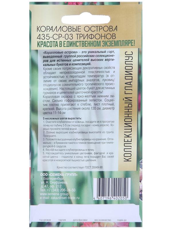 Клубнепочка гладиолуса Коралловые острова (трехцветный), 5 шт.