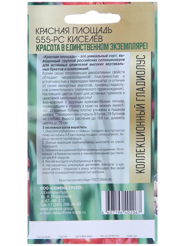 Клубнепочка гладиолуса Красная площадь (красный + немного белого), 5 шт.