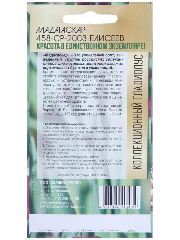 Клубнепочка гладиолуса Мадагаскар (темно-бордовый), 5 шт.