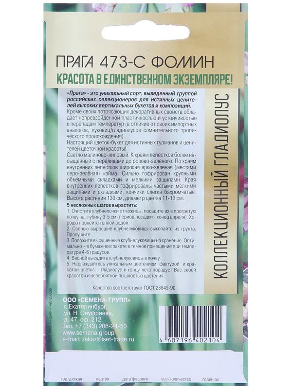 Клубнепочка гладиолуса Прага (голубоватый), 5 шт.